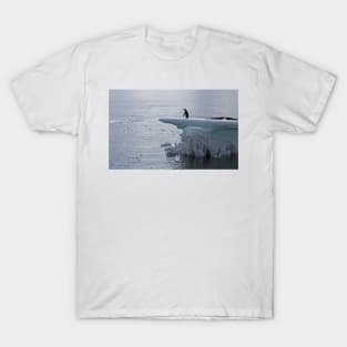 Adelie penguin at Brown Bluff T-Shirt